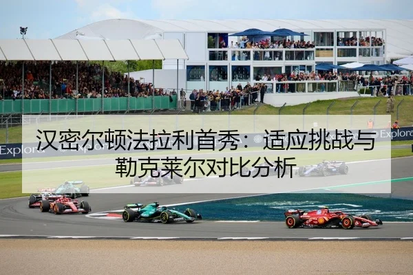 han-mi-er-dun-fa-la-li-shou-xiu-shi-ying-tiao-zhan-yu-lei-ke-lai-er-dui-bi-fen-xi-2-430.jpg