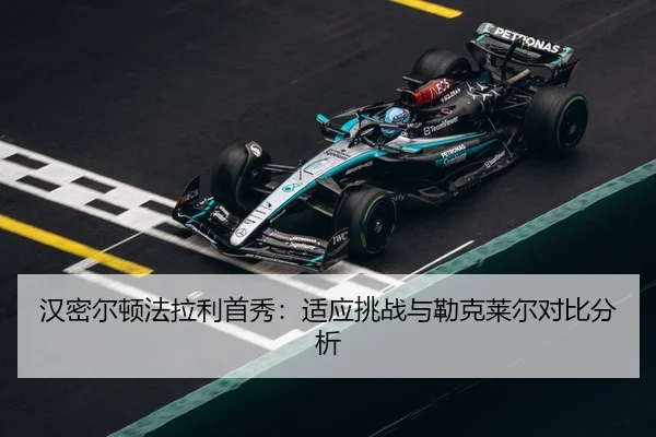 han-mi-er-dun-fa-la-li-shou-xiu-shi-ying-tiao-zhan-yu-lei-ke-lai-er-dui-bi-fen-xi-3-560.jpg