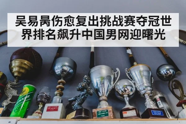 吴易昺伤愈复出挑战赛夺冠世界排名飙升中国男网迎曙光